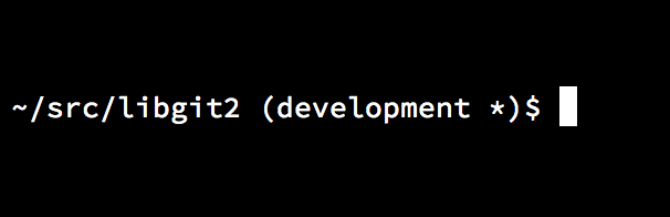 自定义的 `bash` 提示符(`prompt`).